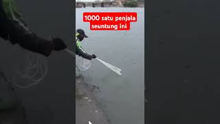 video jala ikan terbaik dunia shorts fishing [upl. by Aij]