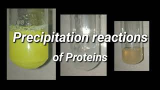 Precipitation Reactions of Proteins  Biochemistry [upl. by Theda]