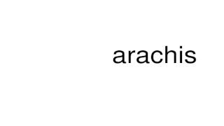 How to pronounce arachis [upl. by Crescentia81]