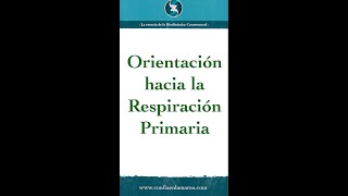 Orientación hacia la Respiración Primaria [upl. by Brent]