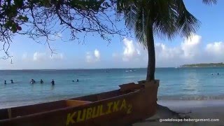 Location vacances Guadeloupe  Verger de Sainte Anne [upl. by Maharba]