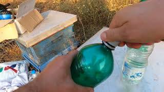 How to make wasp traps–Wasps and wax moth homemade trapsSi ti bëjmë kurthet për grerëzat 051023 [upl. by Gaw]