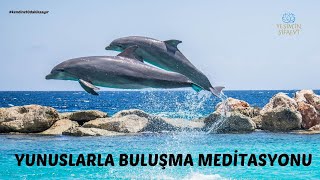 YUNUSLARLA BULUŞMA MEDİTASYONU [upl. by Niar467]