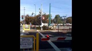 Caltrain Diesel Train Mountain View Station [upl. by Spalla]