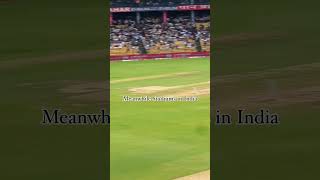 India vs Australia Pitch BorderGavaskar Trophy cricket indiavsaustralia india kohli bumrah [upl. by Drewett]