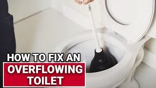 How To Fix An Overflowing Toilet  Ace Hardware [upl. by Hairakcaz773]