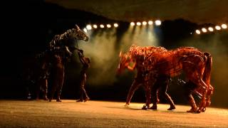 War Horse The Works  RTÉ ONE [upl. by Pollack]