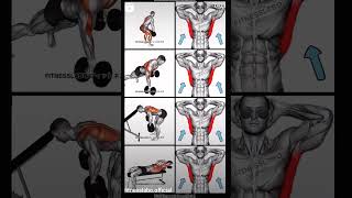 fitness tips ll beck workout ll fitness gym workout viral ytshort shorts short ytshorts [upl. by Winn805]