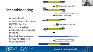 34 Recombineering  Genome Engineering Tools  Lecture 16  Metabolic Engineering  SP20 [upl. by Anirt]