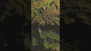 Cima di Tuoro Lago Trasimeno ambient cinematic dji drone fpv nature [upl. by Neerbas]