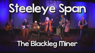 Steeleye Span  Blackleg Miner Live [upl. by Frechette]