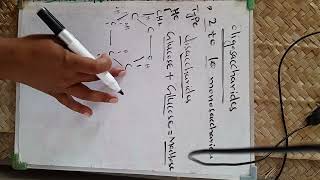 oligosaccharides  carbohydrates classificationtypes of oligosaccharidescharacters [upl. by Oremor]