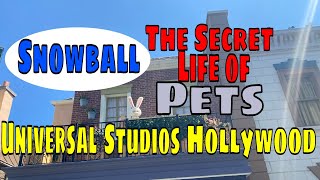 SNOWBALL THE SECRET LIFE OF PETSUNIVERSAL STUDIOS HOLLYWOOD [upl. by Reinald341]