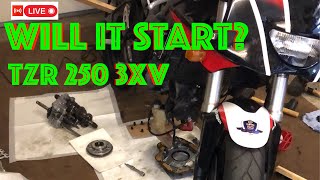 🔴 Yamaha TZR 250 3XV  Will it run Live Stream [upl. by Nahor]