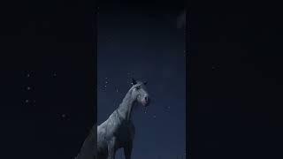 RDR2 • Few Spot Appaloosa Horse • Red Dead Redemption 2 [upl. by Ahseile310]