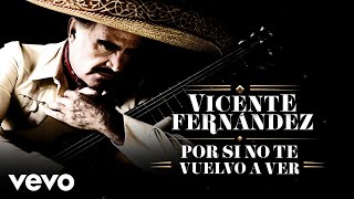 Vicente Fernández  Por Si No Te Vuelvo a Ver LetraLyrics [upl. by Kaela]