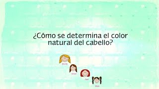 ¿Cómo se determina el color natural del cabello [upl. by Adneral]