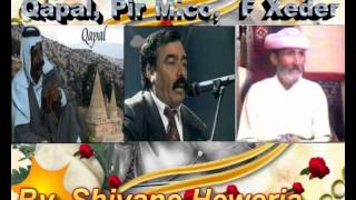 strane shingali Qapal Pir Mico Feqir Xeder koktel قبال دومو بابى عطو [upl. by Sina]