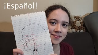 ASMR Te Ayudo a Estudiar Lingüística Alfabeto Fonetico Internacional Parte 1 Consonantes [upl. by Nnylirej]