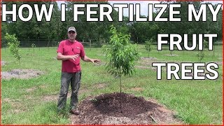 How and when to fertilizing fruit trees [upl. by Erich987]