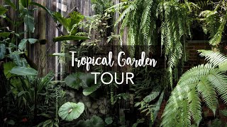 Tropical Garden Tour with Exotic Tropical Plants with plant names [upl. by Ailaht]