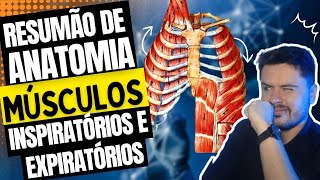 Anatomia dos Músculos Inspiratórios e Expiratórios [upl. by Llebyram685]