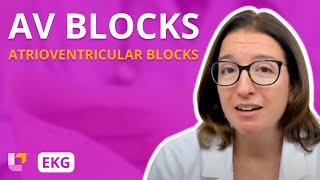 Atrioventricular Blocks AV Blocks  EKG Interpretation  LevelUpRN [upl. by Ahsenrat967]