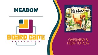 Board Game Breakdown Meadow  Overview and How to Play [upl. by Feledy]