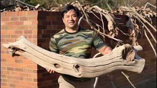 💡Talented Woodworker Using a Uniquely Curved Branch to Create a Striking Focal Point for the Table [upl. by Ardnoed]