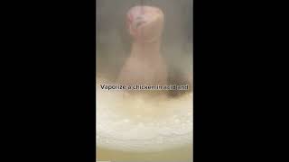 Vaporizing a chicken in acid 🤯 [upl. by Brader282]