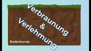 Bodenkunde verstehen – Verlehmung und Verbraunung [upl. by Boyes]