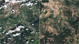 Satellitenbilder zeigen Dürre rund um Berlin im Vergleich 20172018 [upl. by Nirrek]