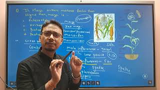 CEE 2081 MEMORY BASED QUESTIONS Part 12 UNIT DEVELOPMENTAL AND APPLIED BOTANY [upl. by Schuyler]