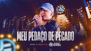 MEU PEDAÇO DE PECADO  João Gomes DVD Acredite  Ao Vivo em Recife [upl. by Thilda166]