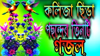 কলিজা ছিড়া পছন্দের তিনটি গজলkolija Cira pasander 3te gojol [upl. by Yve]