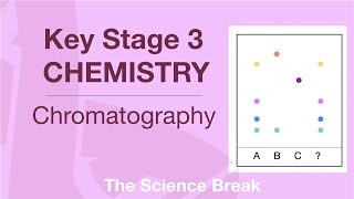 Key Stage 3 Chemistry  Chromatography [upl. by Ardnoek]