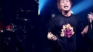 STANCE PUNKS  青道 live [upl. by Yhtac194]