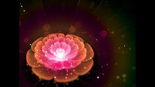 Sleep Meditation Music for Sacral Chakra  swaddhisthana  Healing [upl. by Ojillib]