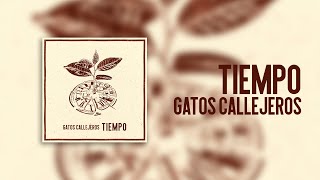 Gatos Callejeros  Tiempo full album [upl. by Terence556]