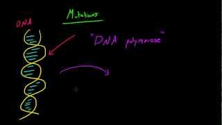 Biology Lecture  58  Genetics [upl. by Eniarol]