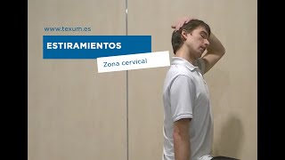 Estiramientos de la Zona Cervical El trapecio [upl. by Wurster897]