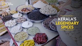 Keralas Legendary Spices  It Happens Only in India  National Geographic [upl. by Afesoj457]