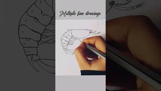 how to draw palaemon diagram shorts palaemon [upl. by Atiekan33]