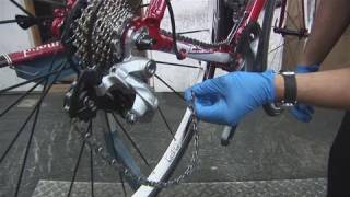 How To Tighten A Single Speed Bike Chain [upl. by Asylem]