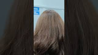 Brown hair color highlight shortvideo [upl. by Mauri471]