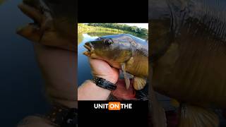 ⁠Guru Pro Feeder Rod Test TackleguruTV [upl. by Sokram]