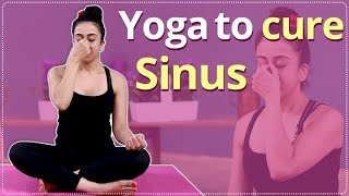 YOGA TO CURE SINUS amp COLD  HOW TO CURE SINUS  HOW TO TREAT COLD  Simple Yoga Lessons [upl. by Dicks507]