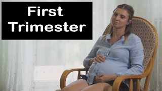 How To Survive The First Trimester Top Health Tips and Pregnancy Questions Answered [upl. by Sancha461]