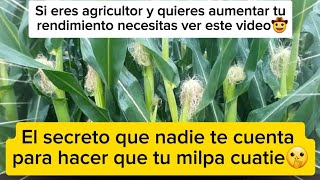 SI ERES AGRICULTOR NECESITAS VER ESTE VIDEO [upl. by Aikan600]