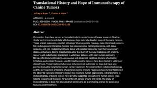 Translational History and Hope of Immunotherapy of Canine Tumors [upl. by Lanod]